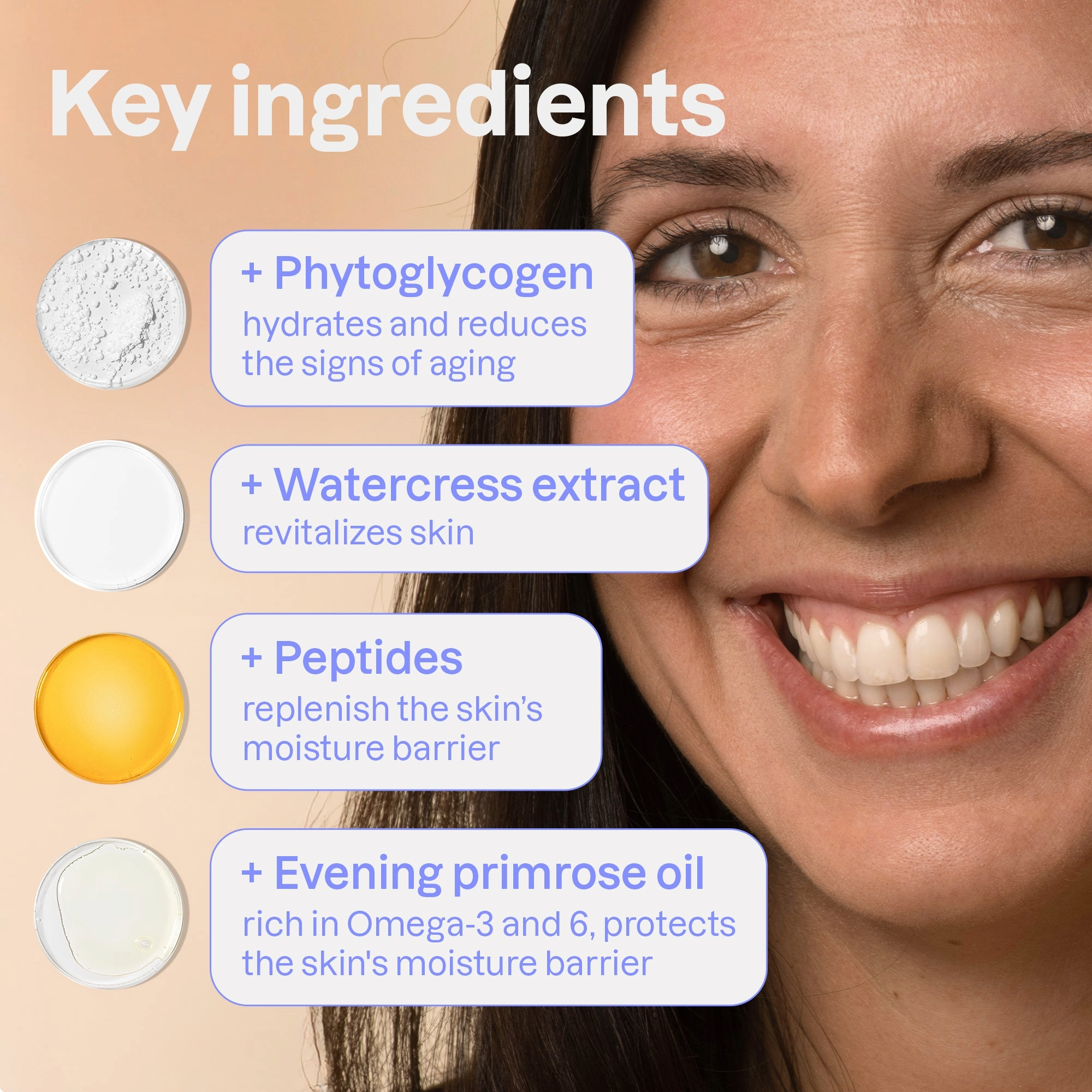 Phyto-Age Night Cream